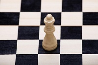 Опытный шахматист всех опередил