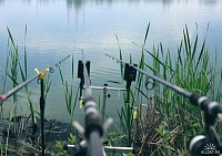 На озере Песьяном ловили окуней