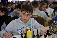 Тюменский шахматист выиграл Кубок России