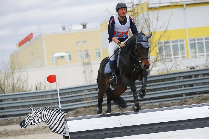Победитель чемпионата Тюменской области по конному спорту в дисциплине «троеборье» Николай Шабанов: «Если у человека и лошади нет силы духа, тандема не получится» 