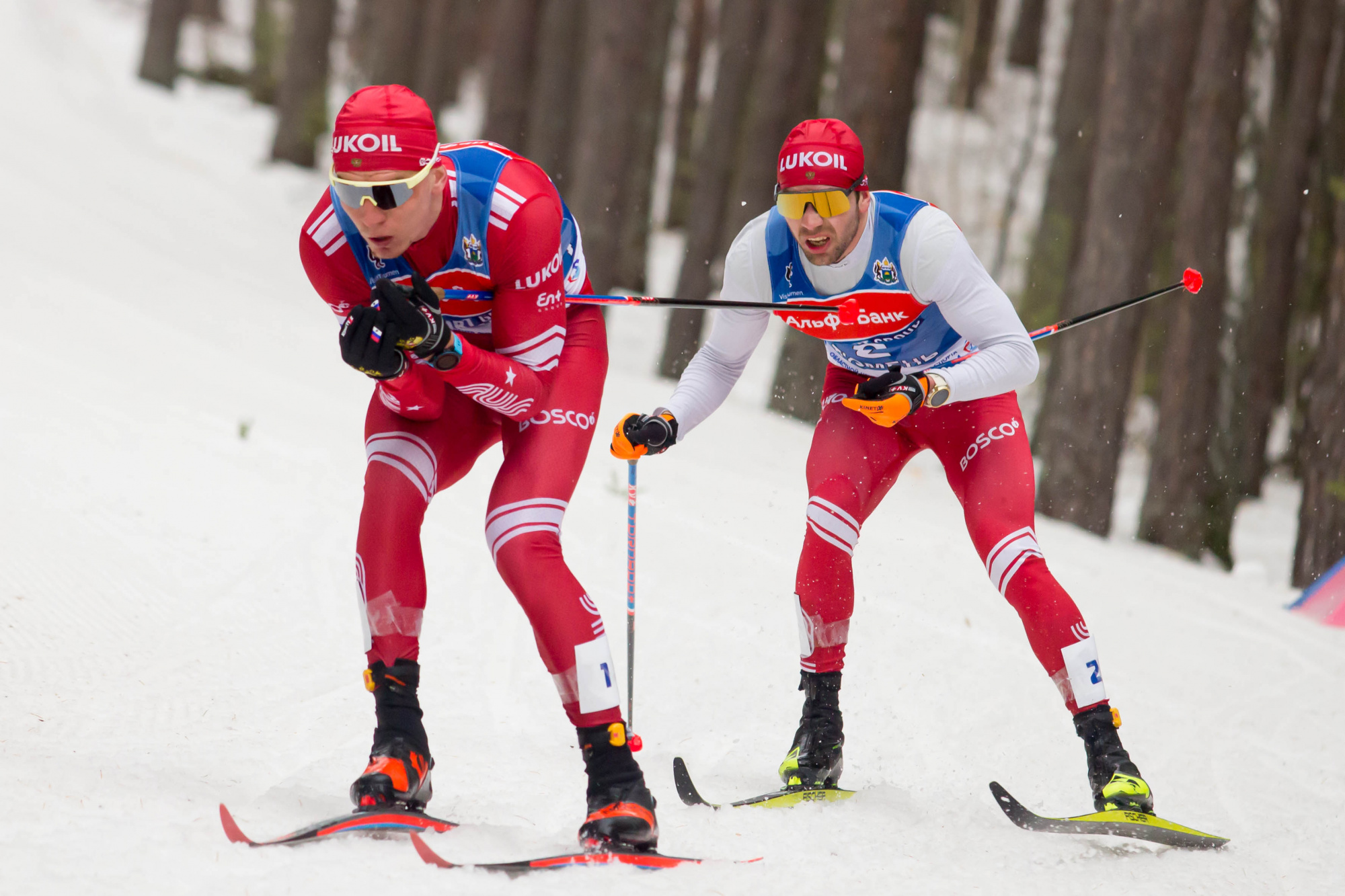 Спартакиада 2024 зимняя лыжные гонки 50 км