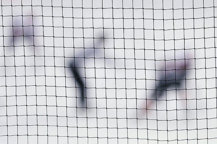 Фото Владимира ОГНЁВА