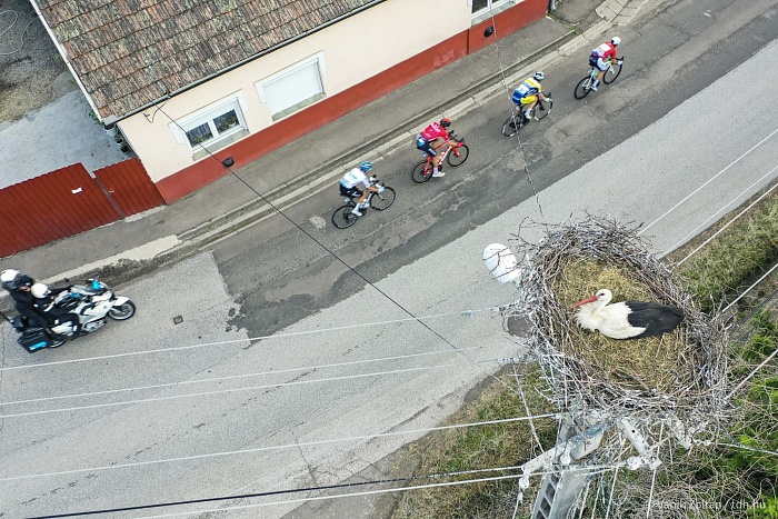 В «Туре Венгрии» пытались достать австралийца