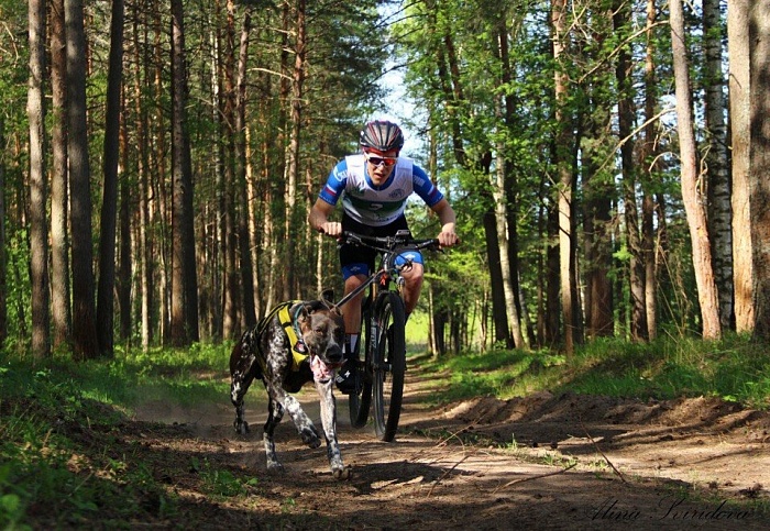 С Айфоном выиграл Кубок мира