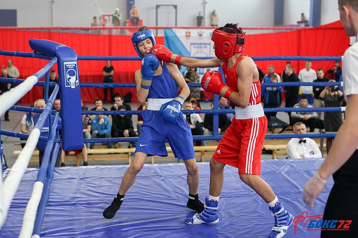 Тюменские боксёры завоевали пять медалей на первенстве Урала