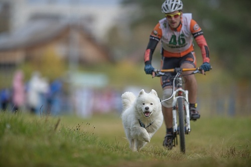Объявили спортивный фотоконкурс