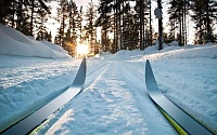 Тюменские лыжники закрыли зимний сезон
