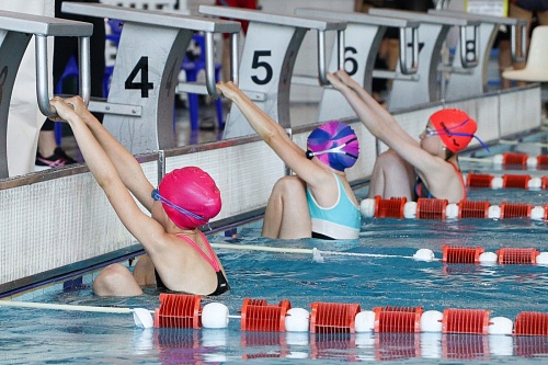 В Тюмени разыграли Кубок главы города по плаванию