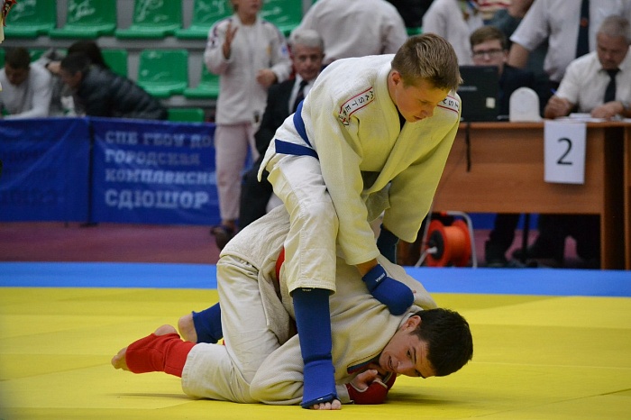 Добился мастерского звания в джиу-джитсу