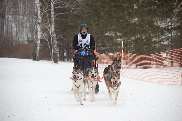 В Упорово прошёл второй этап Кубка России по ездовому спорту