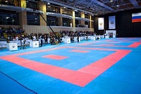 В Тюмени пройдут онлайн-соревнования по каратэ и рукопашному бою