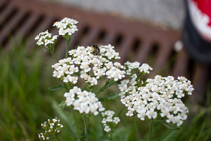 Чемпионат Тюменской области по лыжероллерам. 1-й соревновательный день. Женщины