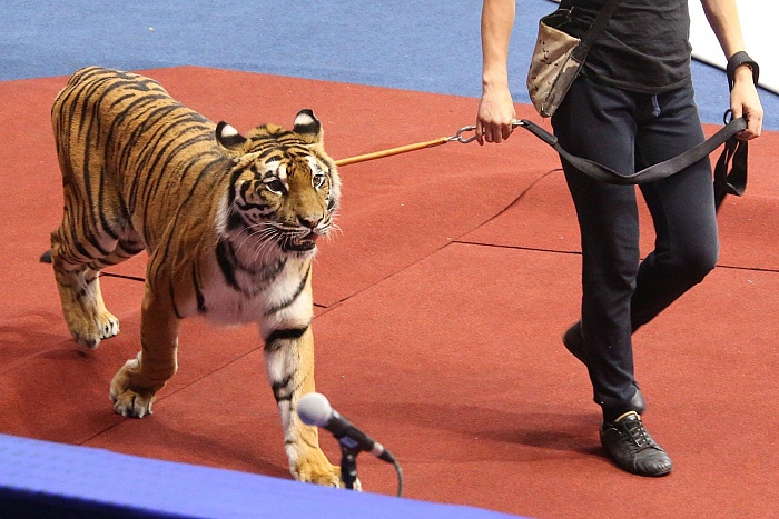 Фото Татьяны АНДРЕЕВОЙ