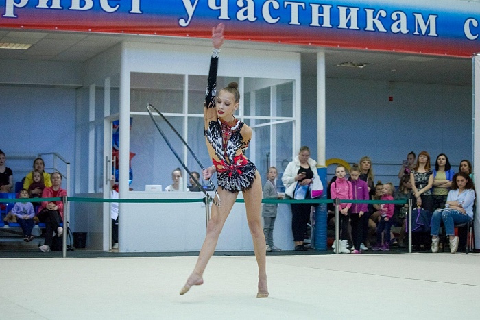 Открытый турнир по художественной и эстетической гимнастике памяти В. Г. Хромина