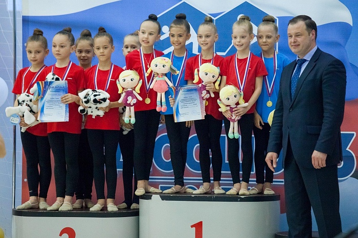 Открытый турнир по художественной и эстетической гимнастике памяти В. Г. Хромина