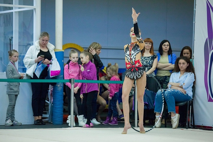Открытый турнир по художественной и эстетической гимнастике памяти В. Г. Хромина