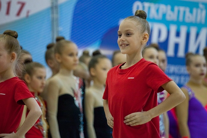 Открытый турнир по художественной и эстетической гимнастике памяти В. Г. Хромина