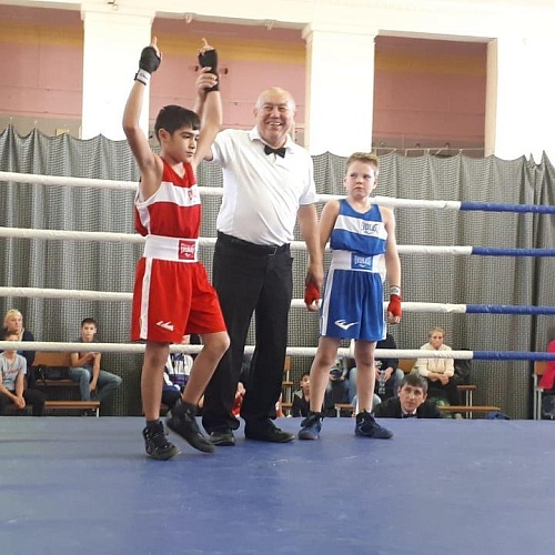 На уральском ринге собрали медальный «урожай»