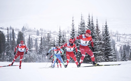 Тюменцы в спринте добрались до полуфинала