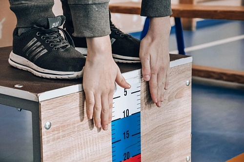 В Сладково школьников ждал фестиваль ГТО