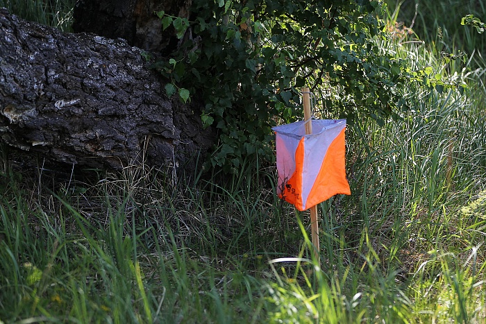 Туристический фестиваль «Робинзонада-2023»