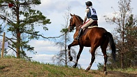 Любители конного спорта оспорят 50 тысяч рублей