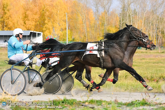 Гастролерша принесла серебро
