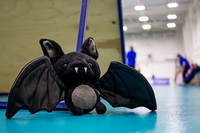 Чемпионат России по волейболу среди женщин. Высшая лига «А». ВК «Тюмень» - ВК «Липецк» - 0:3