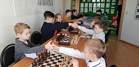 Сибиряки из «Шахматной студии» бьются за рейтинг