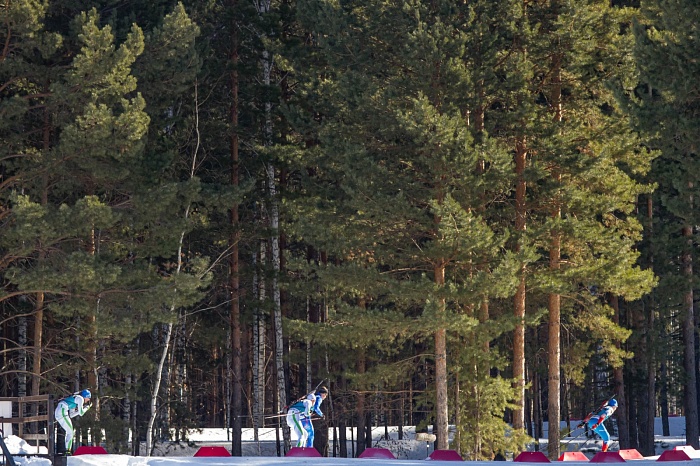 Кубок Содружества по биатлону в Тюмени. Масс-старт. Мужчины