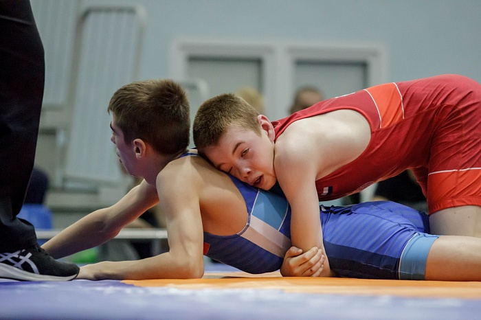 Турнир на призы Владимира Чебоксарова