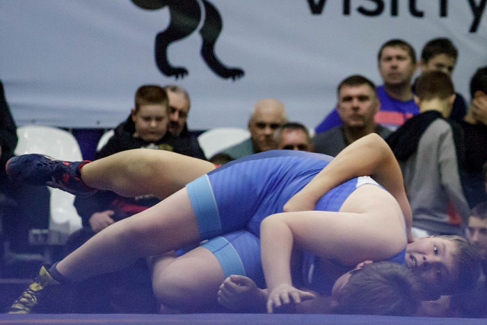 Турнир на призы Владимира Чебоксарова