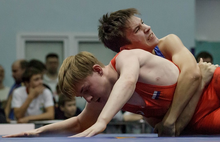 Турнир на призы Владимира Чебоксарова