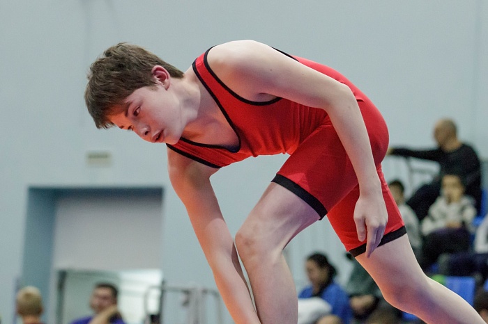 Турнир на призы Владимира Чебоксарова