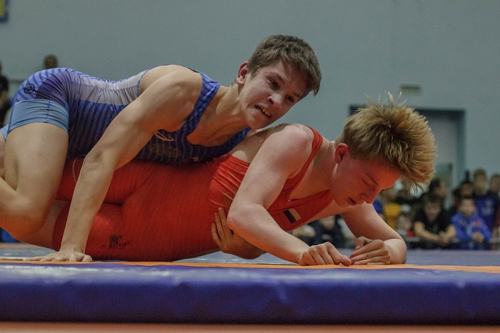 Турнир на призы Владимира Чебоксарова