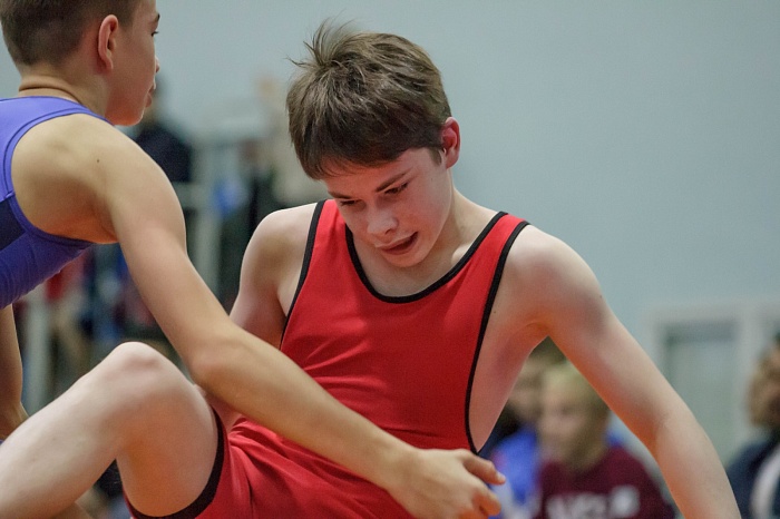 Турнир на призы Владимира Чебоксарова