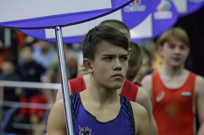 Турнир на призы Владимира Чебоксарова