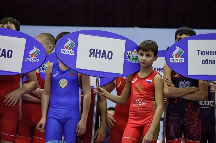 Турнир на призы Владимира Чебоксарова