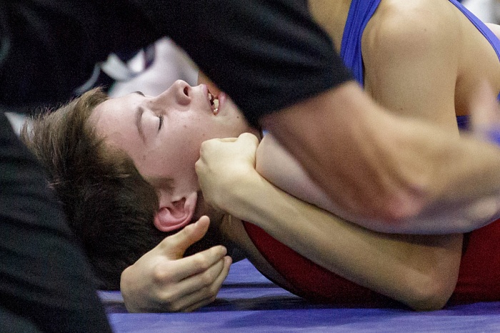 Турнир на призы Владимира Чебоксарова