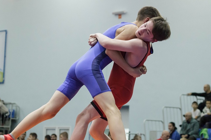 Турнир на призы Владимира Чебоксарова