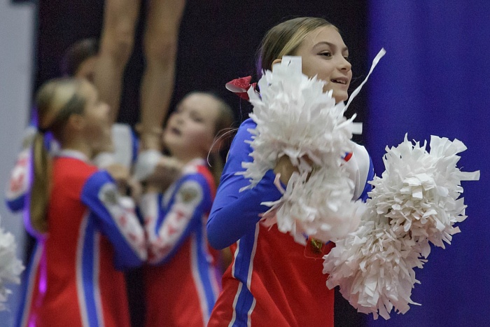 Турнир на призы Владимира Чебоксарова