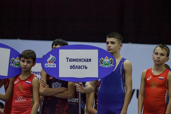 Турнир на призы Владимира Чебоксарова