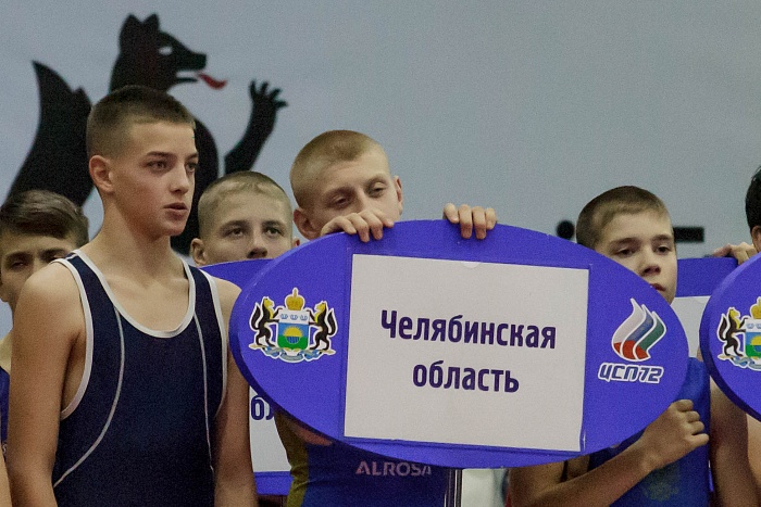 Турнир на призы Владимира Чебоксарова