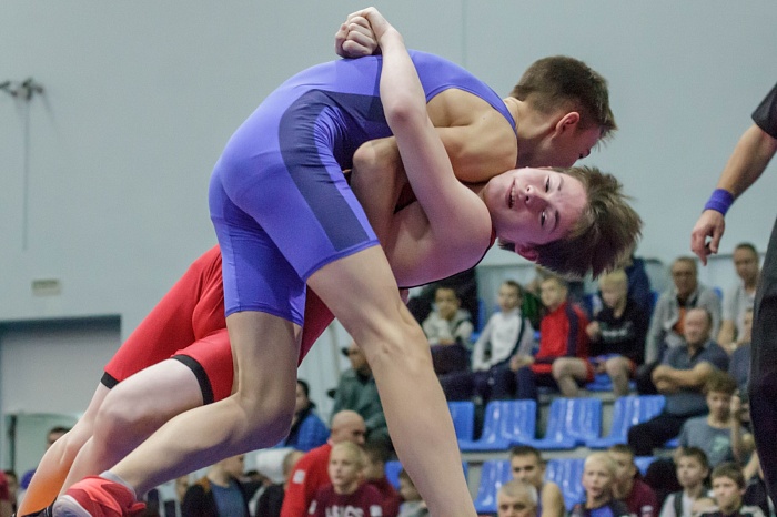 Турнир на призы Владимира Чебоксарова