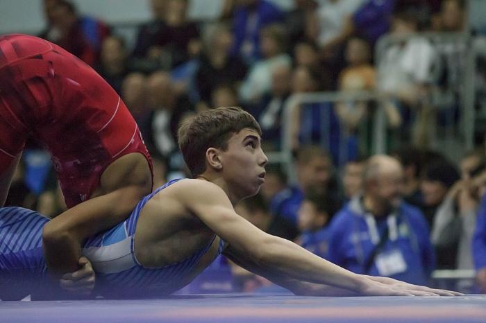 Турнир на призы Владимира Чебоксарова