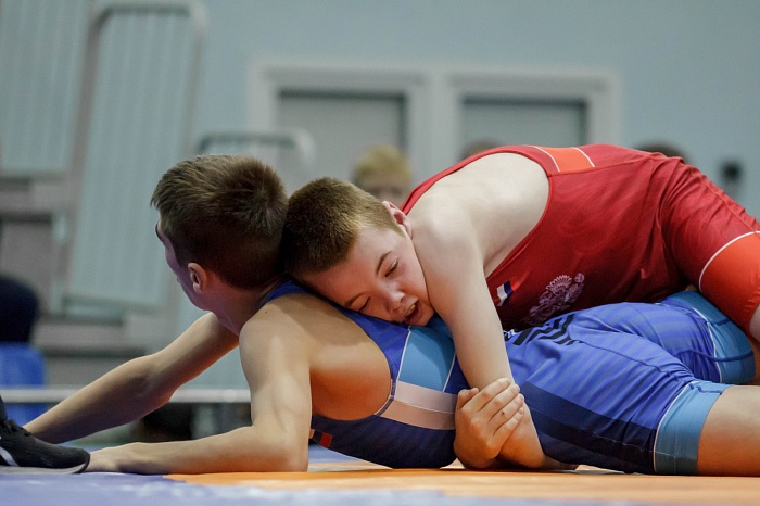 Турнир на призы Владимира Чебоксарова