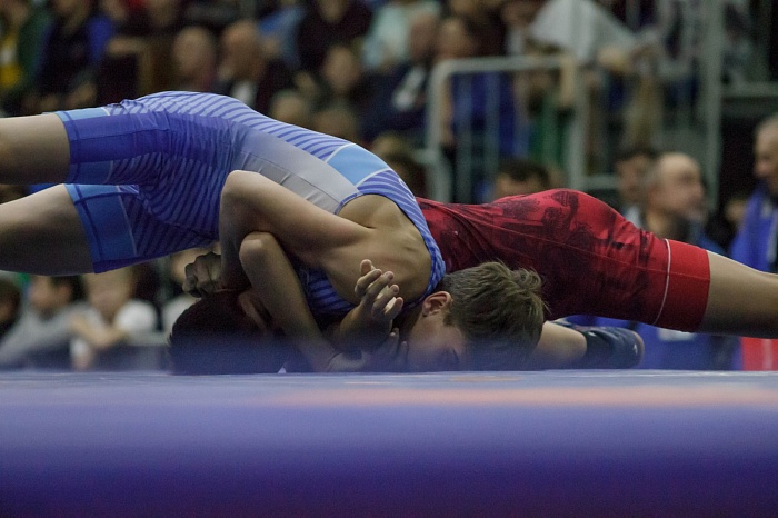 Турнир на призы Владимира Чебоксарова