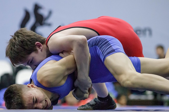 Турнир на призы Владимира Чебоксарова