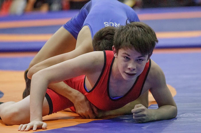 Турнир на призы Владимира Чебоксарова