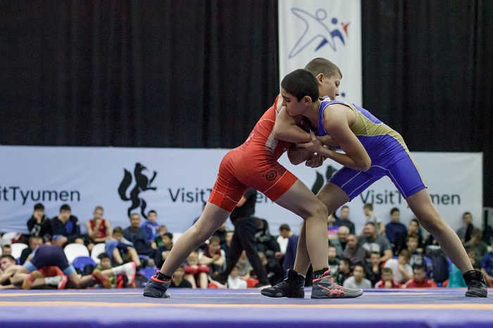 Турнир на призы Владимира Чебоксарова